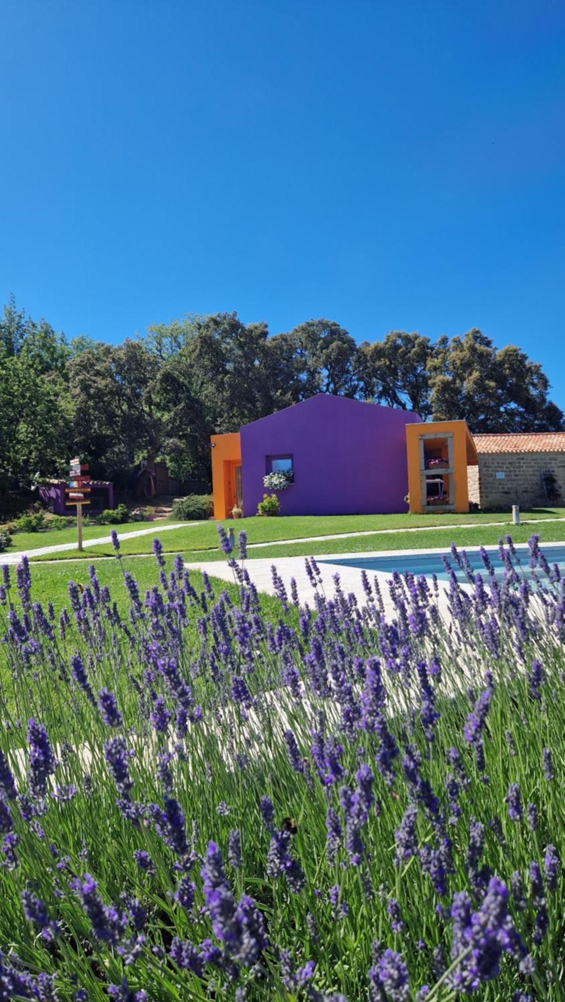 Hotel Limbara Dreaming Tempio Pausania Exterior foto