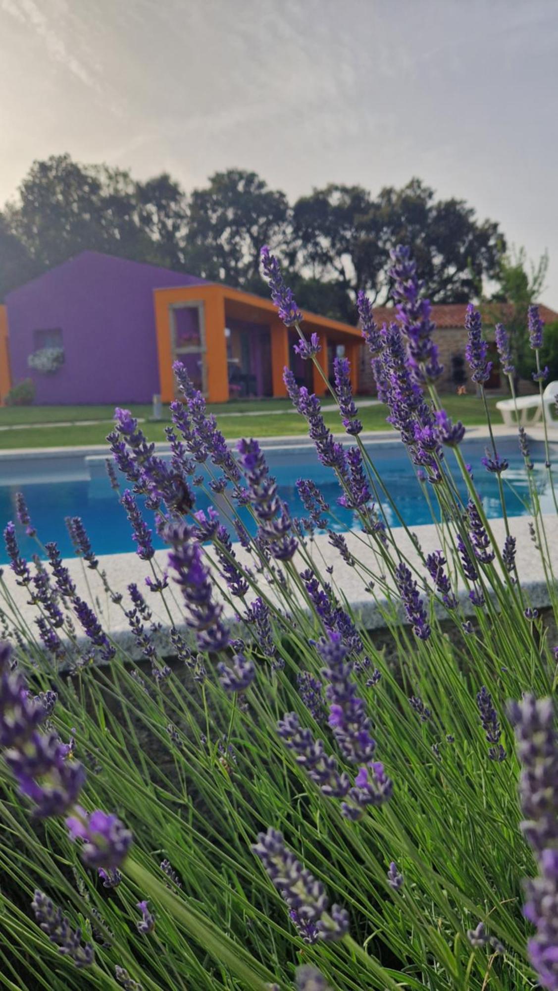 Hotel Limbara Dreaming Tempio Pausania Exterior foto