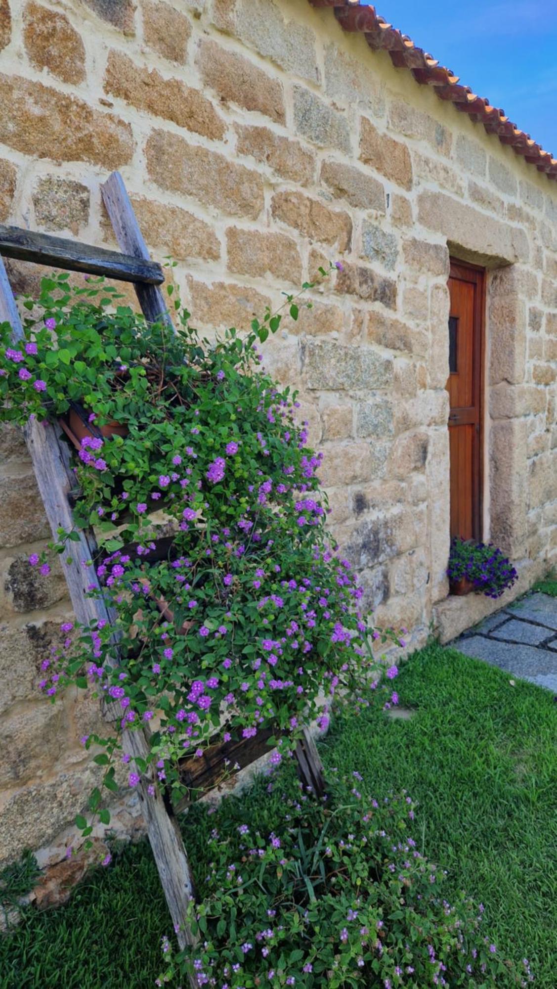 Hotel Limbara Dreaming Tempio Pausania Exterior foto
